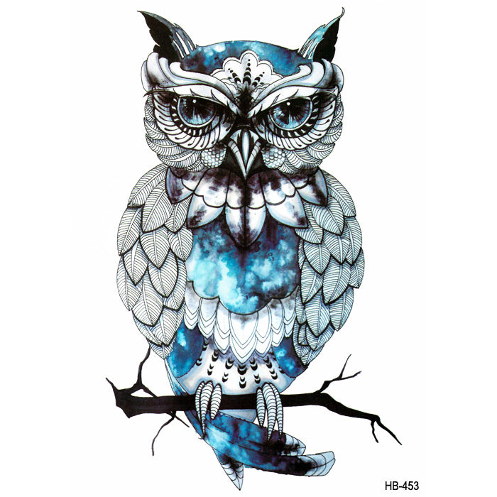 HB453 BLUE OWL